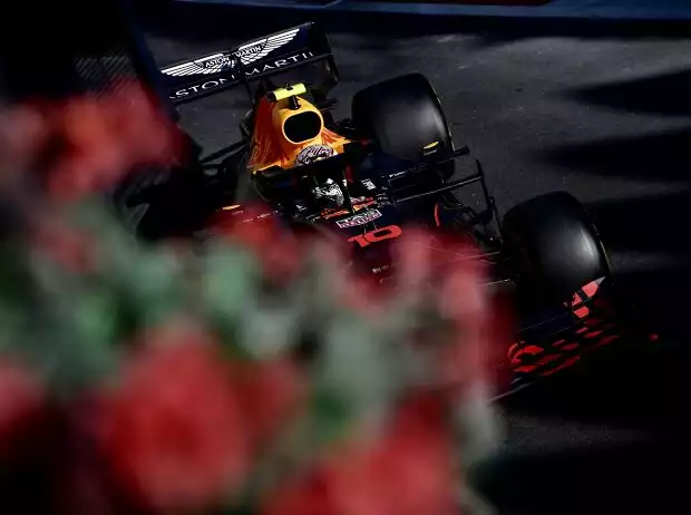 Titel-Bild zur News: Pierre Gasly