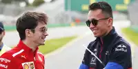 Bild zum Inhalt: Alexander Albon: Gegen Leclerc holst du maximal ein paar Hundertstel