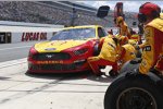 Joey Logano (Penske) 