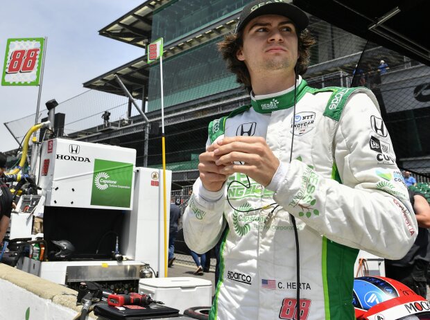 Colton Herta Colton Herta
