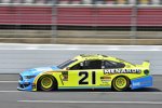 Paul Menard (Wood) 