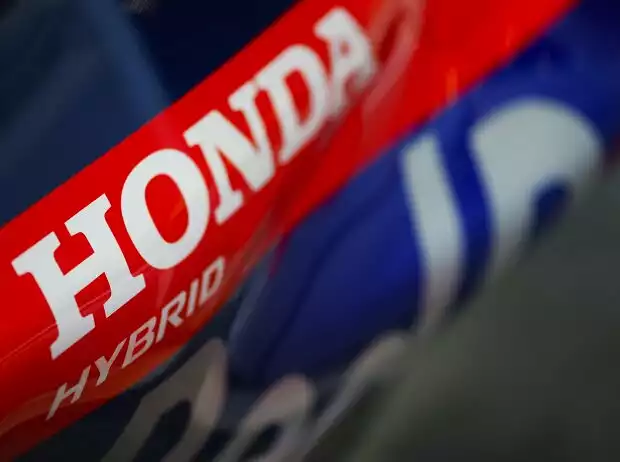 Honda-Schriftzug auf dem Toro Rosso Titel-Bild zur News: Honda-Schriftzug auf dem Toro Rosso