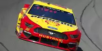 Joey Logano