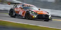 Maro Engel