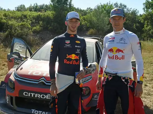 Pierre Gasly Titel-Bild zur News: Pierre Gasly