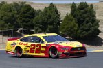 Joey Logano (Penske) 