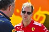Bild zum Inhalt: Sebastian Vettel: "Werde nächstes Jahr auch hier sein"