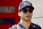 Pierre Gasly (Red Bull) 