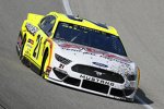 Paul Menard (Wood) 