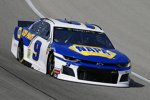 Chase Elliott (Hendrick) 