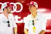 Bild zum Inhalt: Nico Müller: Wird der Audi-DTM-Pilot Abts Formel-E-Nachfolger?