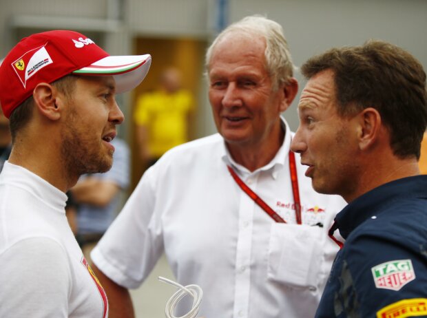 Sebastian Vettel, Helmut Marko, Christian Horner