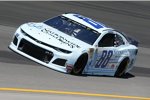 Alex Bowman (Hendrick) 