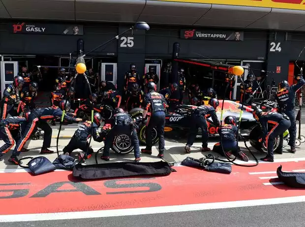 Pierre Gasly Titel-Bild zur News: Pierre Gasly