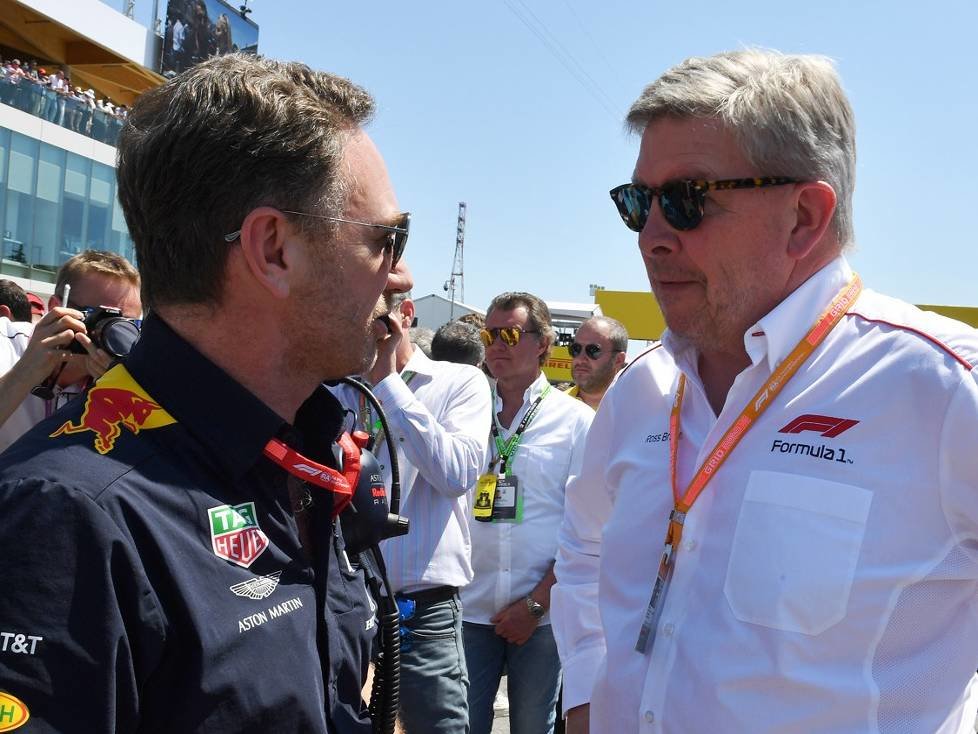 Christian Horner, Ross Brawn