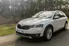 Bild zum Inhalt: Skoda Octavia 2019: Update erweitert die Serienausstattung