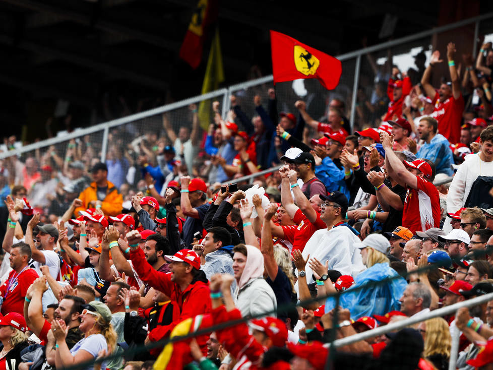 Fans von Sebastian Vettel