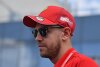Bild zum Inhalt: Formel-1-Zukunft: Piloten laut Vettel die einzigen ohne Hintergedanken