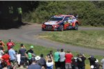 Thierry Neuville 