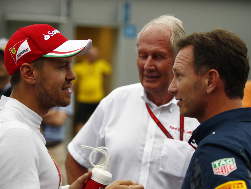 Sebastian Vettel, Christian Horner