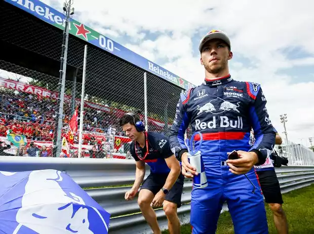 Pierre Gasly Titel-Bild zur News: Pierre Gasly