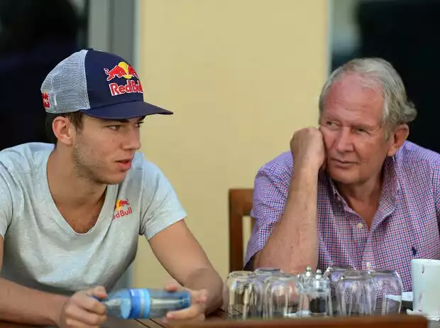 Titel-Bild zur News: Pierre Gasly, Helmut Marko