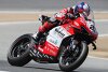 WSBK 2020: Rinaldi bei Barni-Ducati auf der Abschussliste - Chance für Camier?