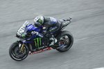 Maverick Vinales (Yamaha) 