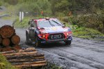 Thierry Neuville 