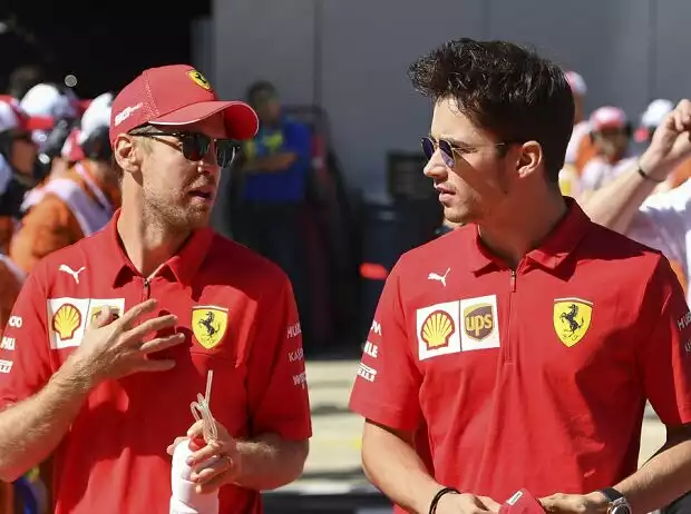 Sebastian Vettel, Charles Leclerc Titel-Bild zur News: Sebastian Vettel, Charles Leclerc