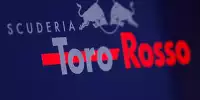 Toro Rosso, Logo