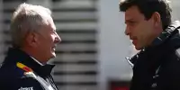Helmut Marko, Toto Wolff