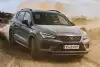 Bild zum Inhalt: Cupra Ateca Limited Edition (2020): Seltenes Sonder-SUV