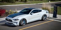 Ford Mustang Lithium