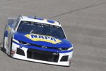 Chase Elliott (Hendrick) 