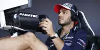 Roy Nissany