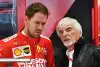 Bild zum Inhalt: Sebastian Vettel: Ecclestone und Jordan glauben an Rücktritt Ende 2020