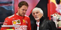 Bild zum Inhalt: Sebastian Vettel: Ecclestone und Jordan glauben an Rücktritt Ende 2020