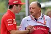 Bild zum Inhalt: Alfa-Teamchef Vasseur: Was Leclerc zum "Champion" macht