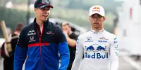 Bild zum Inhalt: Helmut Marko: Gasly ist "im Gegensatz zu Kwjat" wiederauferstanden