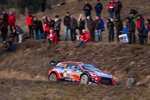 Thierry Neuville