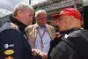 Bild zum Inhalt: Helmut Marko: Niki Lauda ist "nicht ersetzbar"