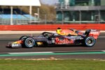 Max Verstappen (Red Bull)
