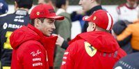 Bild zum Inhalt: Mattia Binotto: Teamorder bei Ferrari 2020 nicht ausgeschlossen