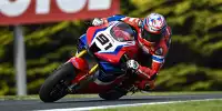 Bild zum Inhalt: Honda Fireblade: Leon Haslam in den Top 5, Alvaro Bautista abgeschlagen