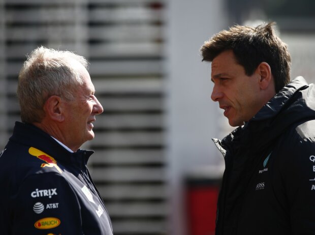 Helmut Marko, Toto Wolff