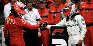 Formel-1-Experte Martin Brundle: Hamilton sollte zu Ferrari wechseln
