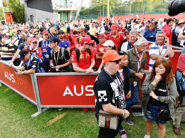 Titel-Bild zur News: Fans in Melbourne