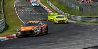 Maro Engel