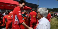 Bild zum Inhalt: Bernie Ecclestone: Briatore wäre besserer Ferrari-Teamchef als Binotto